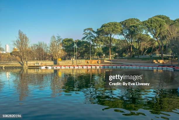 rowing boats on a lake - casa de campo fotografías e imágenes de stock