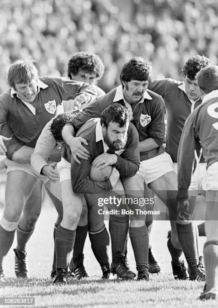 Donal Spring Donal Spring Photos and Premium High Res Pictures - Getty Images