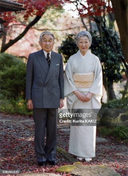 In this photo released by the Imperial Household Agency, Emperor Akihito and Empress Michiko stand together by Sokintei arbor during their stroll at...