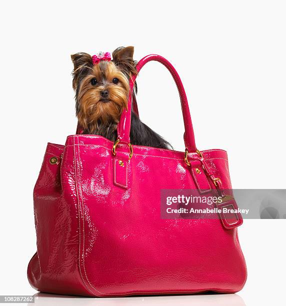 Sac Fille Sassy Pet Saks – Rose, Motif Chien Rigolo