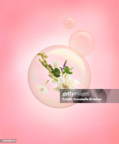 fragrance in a bubble - scented stock pictures, royalty-free photos & images
