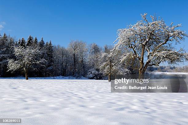 landscape and snow - ravensburg photos et images de collection