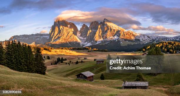 seiser alm, dolomite alps, italy, europe - majestätisch stock pictures, royalty-free photos & images