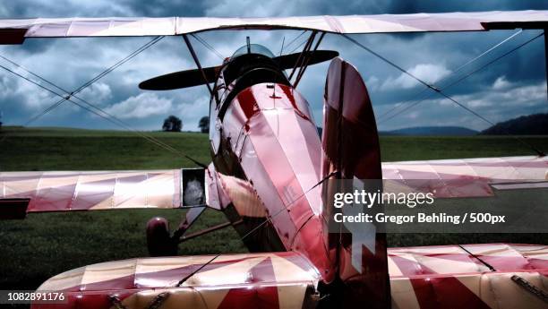 red beauty - gregor behling stock pictures, royalty-free photos & images