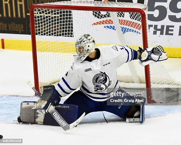 Jacob Ingham of the Mississauga Steelheads stops a shot against the Sault Ste. Marie Greyhounds during OHL game action on December 14, 2018 at...