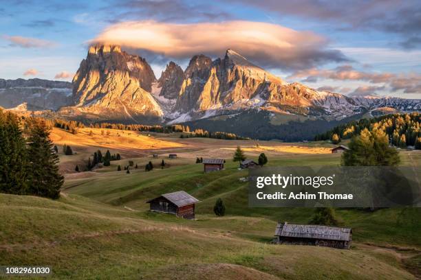 seiser alm, dolomite alps, italy, europe - stimmungsvolle umgebung fotografías e imágenes de stock