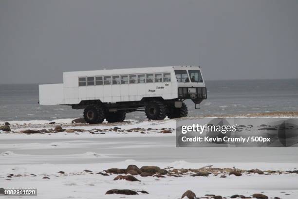 tundra buggy - tundra buggy stock pictures, royalty-free photos & images