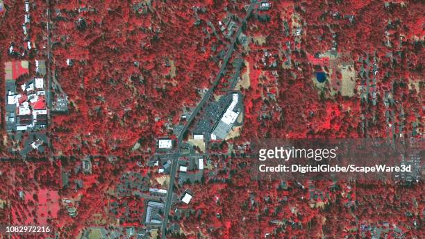 DigitalGlobe via Getty Images infrared before satellite imagery around Old Town Plaza, Paradise, California.