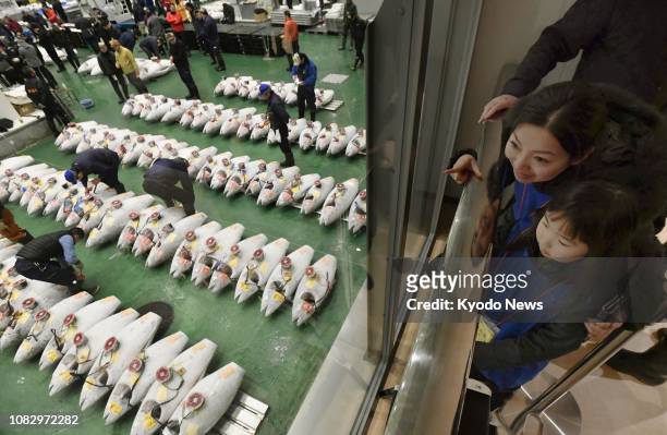People observe tuna auctions from an upper-level deck at Tokyo's Toyosu fish market on Jan. 15, 2019. ==Kyodo