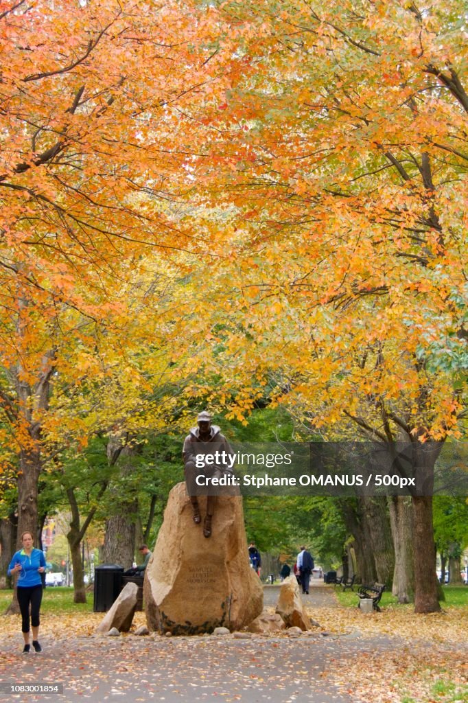 Fall foliage in Boston, MA,USA