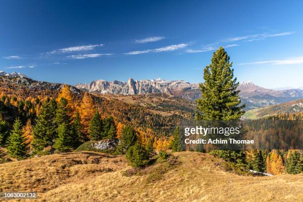 dolomite alps, south tyrol, italy, europe - badia stock pictures, royalty-free photos & images