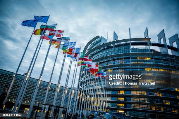 The flags of the member states of the european union are blowing in the wind in front of The European Parliament on January 15, 2019 in Strasbourg,...