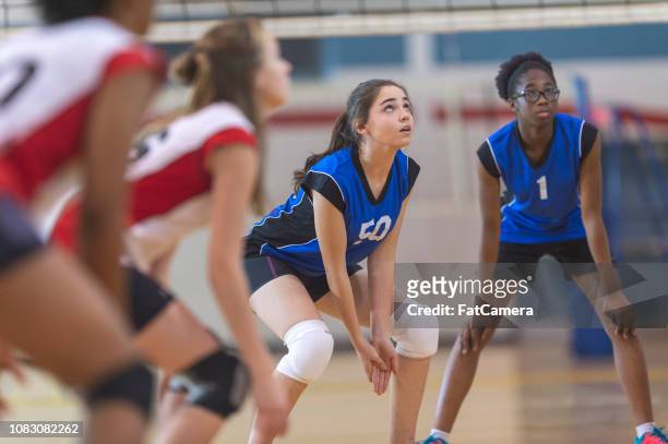 high school girl's volleyball - secondary school sport stock pictures, royalty-free photos & images