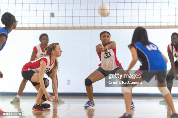 voleibol de junior varsity - volleyball fotografías e imágenes de stock