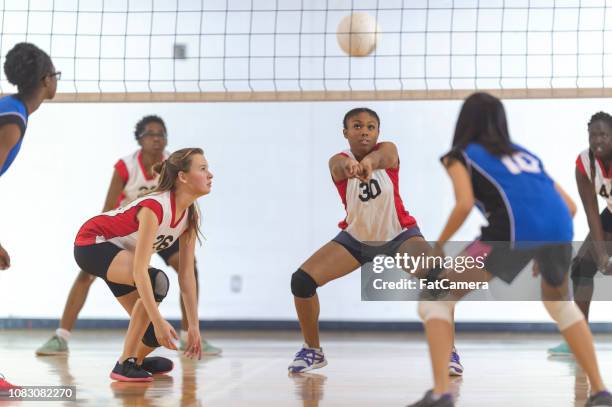 junior varsity volleyball - secondary school sport stock pictures, royalty-free photos & images