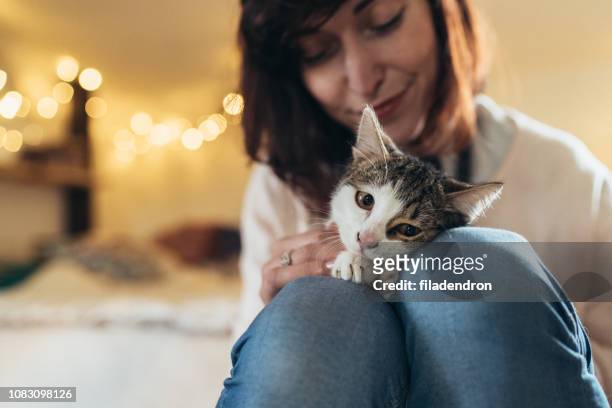 woman and cute cat - cat hipster no stock pictures, royalty-free photos & images
