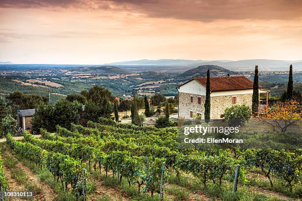 tuscany landscape - villa toscana stock pictures, royalty-free photos & images