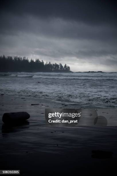 dark stormy beach - dan gross stock pictures, royalty-free photos & images