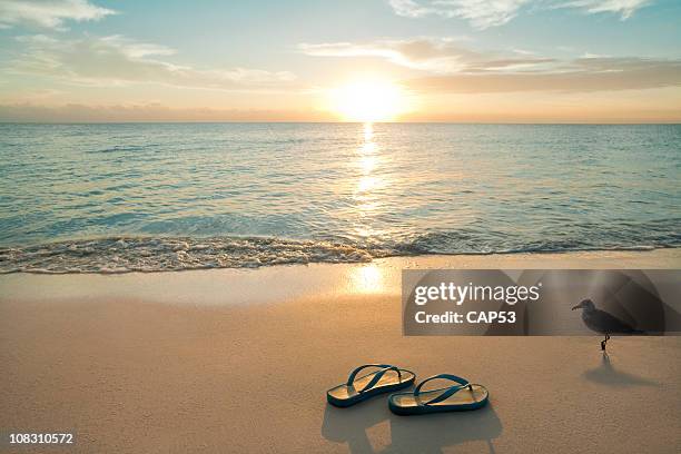 sunrise on flip-flops at the beach - brightly lit stock pictures, royalty-free photos & images