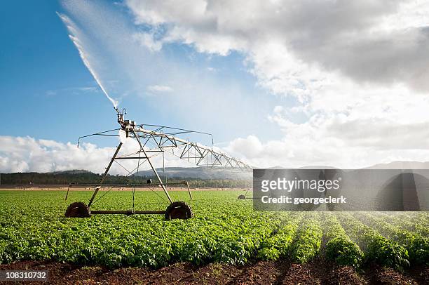 landwirtschaft: crop bewässerung - gießen wasser stock-fotos und bilder