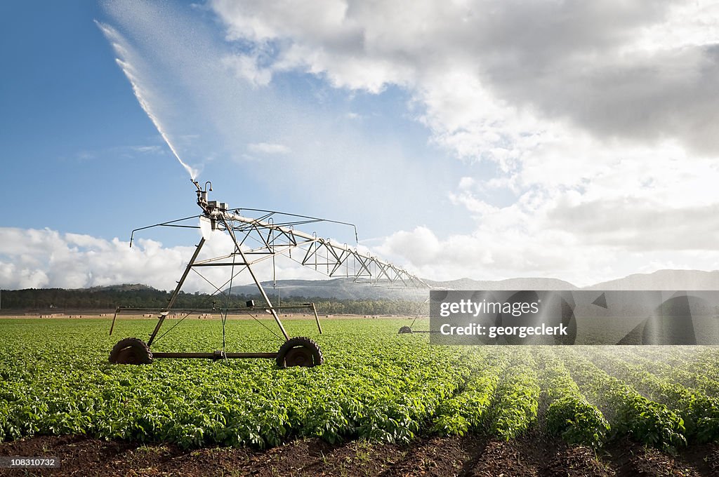 Agricultura: Recorte de irrigação