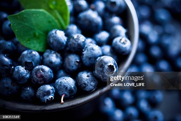 blaubeeren - blueberries stock-fotos und bilder