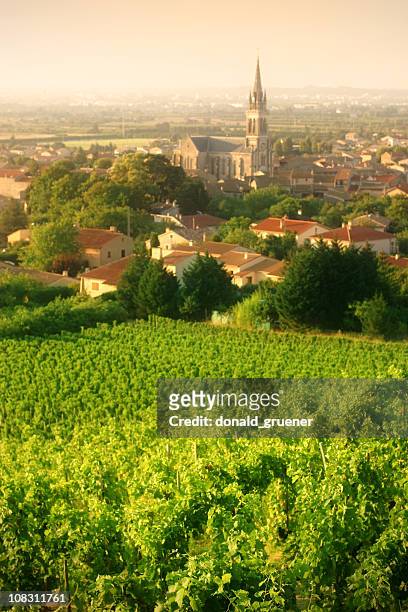 vineyards of cornas - rhone stock pictures, royalty-free photos & images