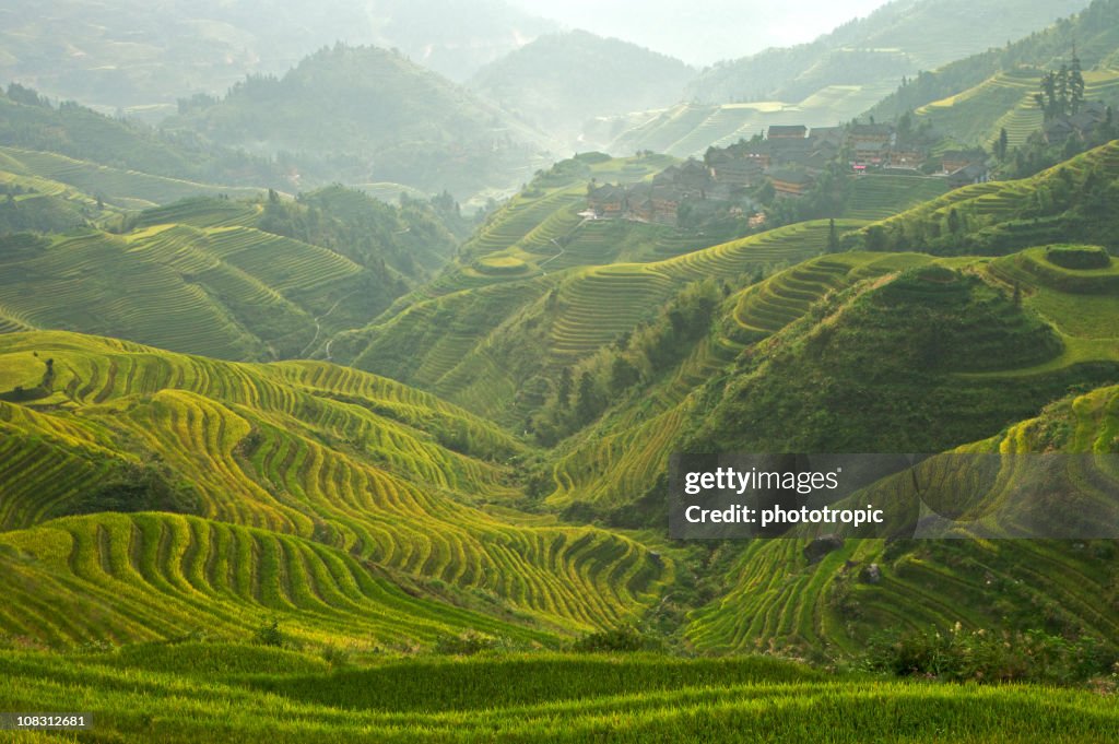 Misty sunrise over Longsheng in China