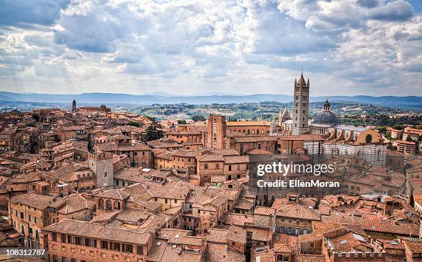 siena - siena italy stockfoto's en -beelden