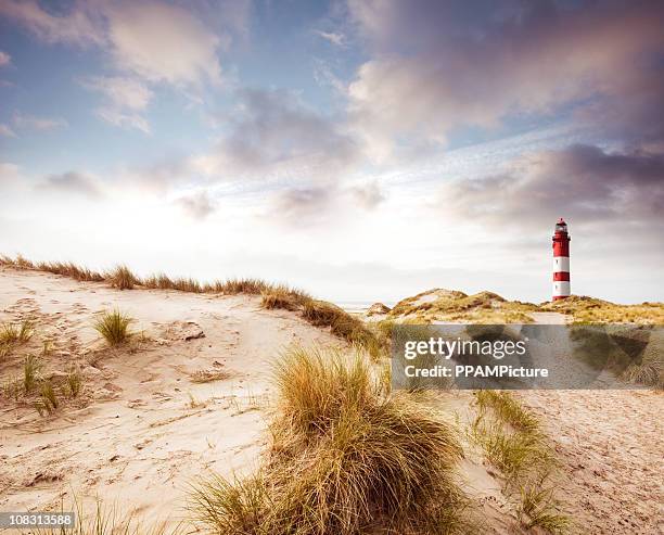 leuchtturm in den dünen - amrum stock-fotos und bilder