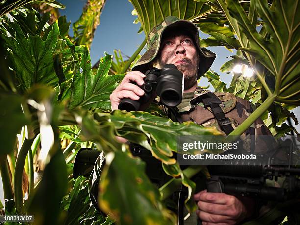 jungle warfare - trooper stock pictures, royalty-free photos & images