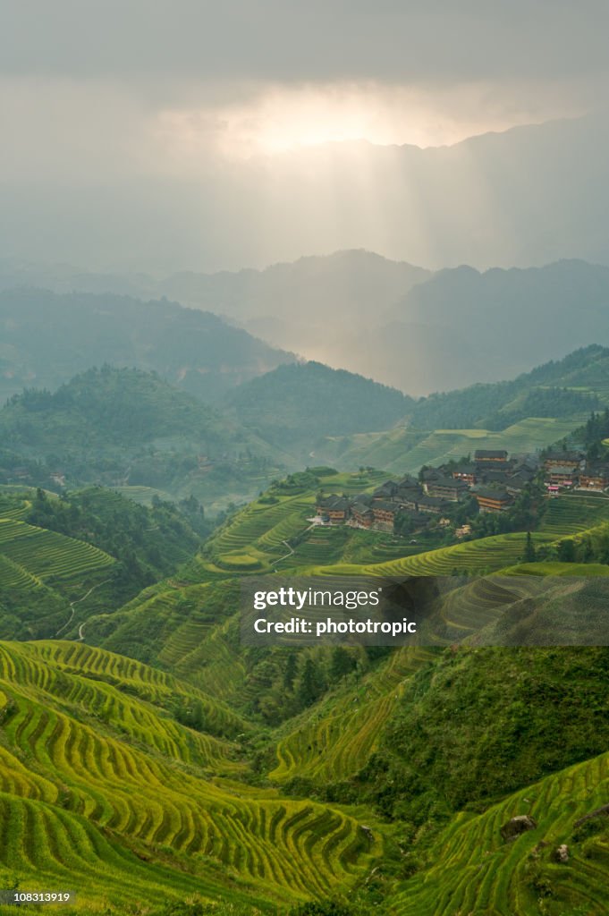 Matinées brumeuses sur Longji Village