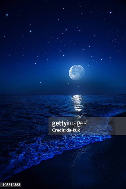 rising moon over sea - beach night stock pictures, royalty-free photos & images