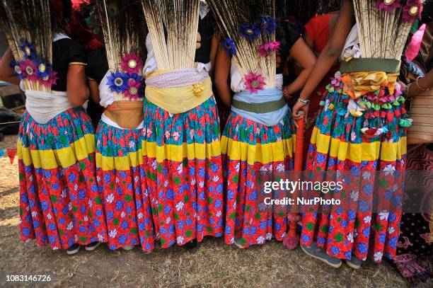 Nepalese Tharu community people arrive in a traditional attire during the Maghi festival celebrations or the New Year of the Tharu community at...