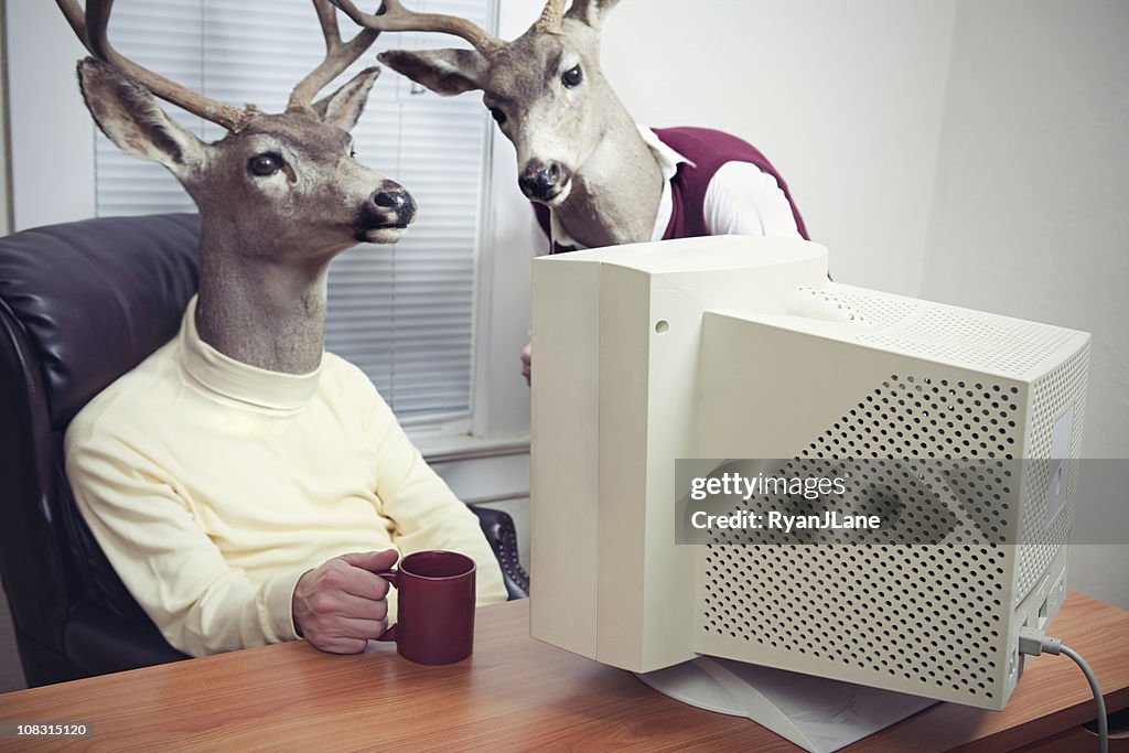 Deer Head Men Working At Office