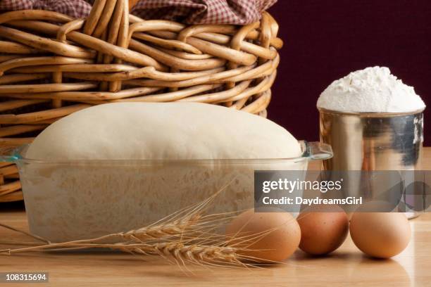 bread making series - rijzen stockfoto's en -beelden