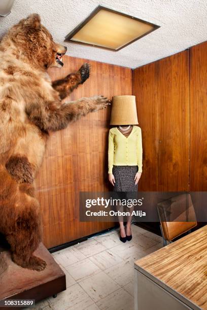 bear at the office - cower stock pictures, royalty-free photos & images