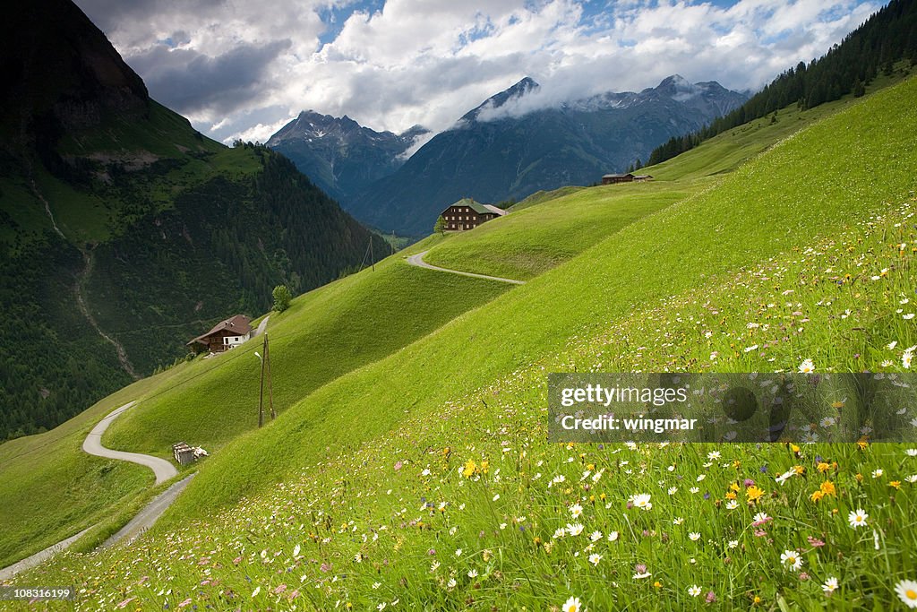 Spring Wiese in der Nähe der Kaiser-tirol, Österreich