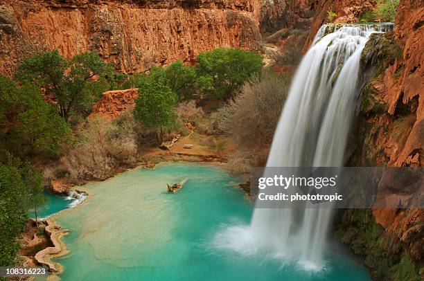 wasserfall havasu falls in arizona - grand canyon stock-fotos und bilder