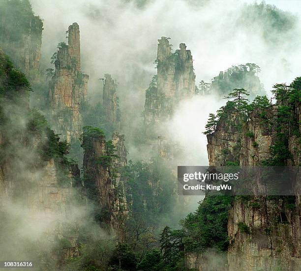 zhangjiajie national forest - zhangjiajie national forest park stock pictures, royalty-free photos & images