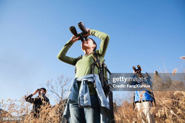 chinese friends using binoculars in rural landscape - bird watching stock pictures, royalty-free photos & images