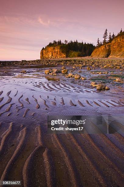 tidal cliffs sunset - bay of fundy stock pictures, royalty-free photos & images