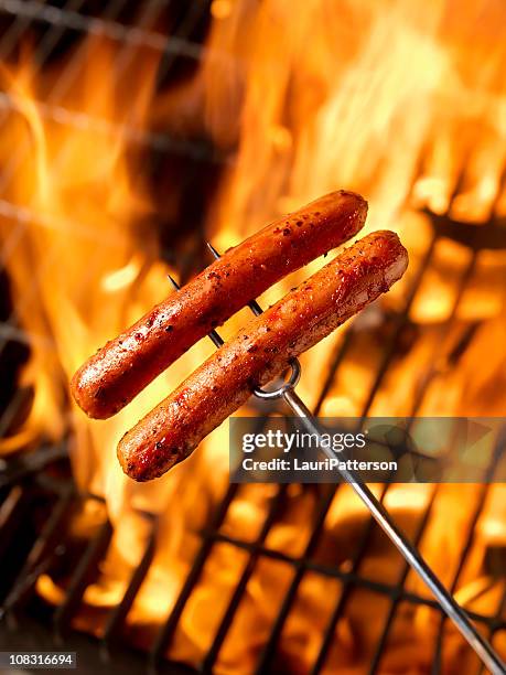 hotdogs cooking on the campfire - sausage bildbanksfoton och bilder