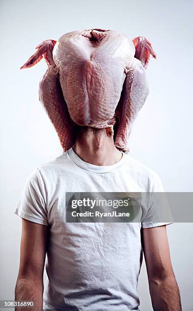 turkey head - big head stock pictures, royalty-free photos & images