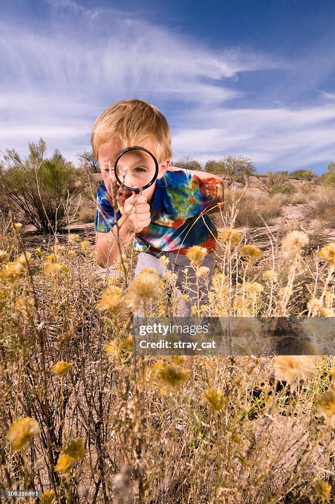 Curious Little Explorer