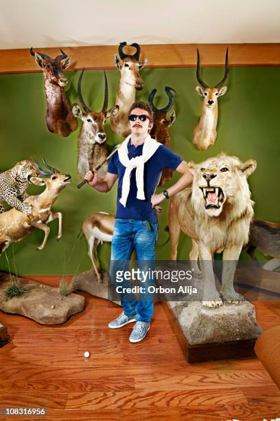 posh golfer - stuffed animal stock pictures, royalty-free photos & images