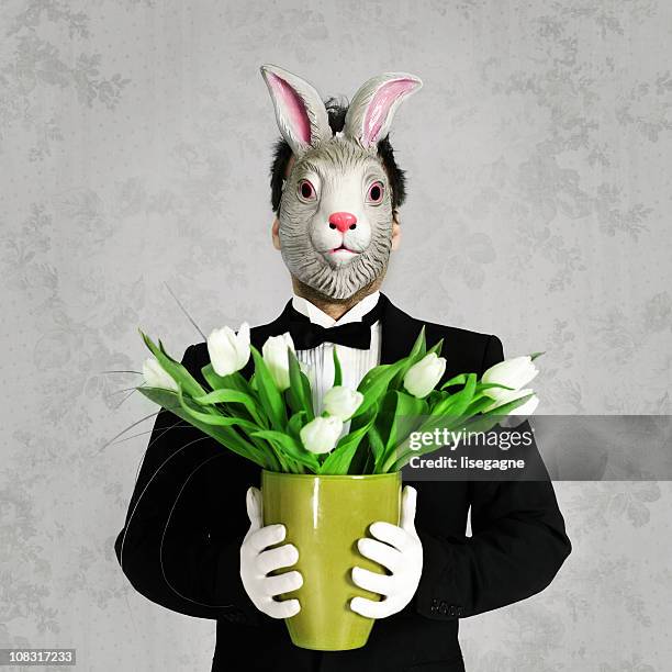 hombre con máscara de conejito tulipanes de retención - rabbit mask fotografías e imágenes de stock