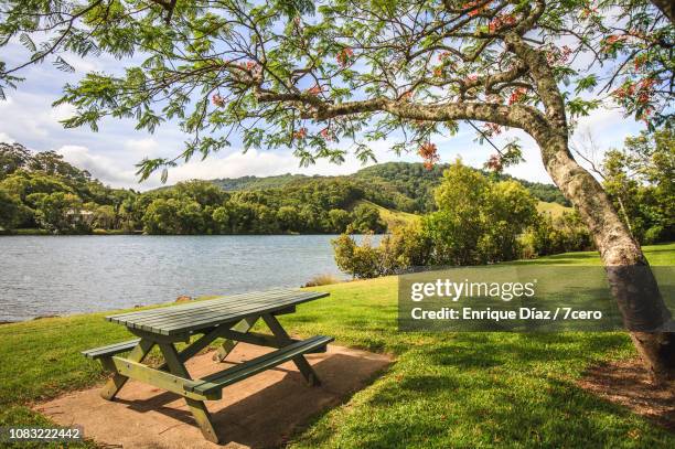 picnic table, flame tree and a perfect lawn, tumbulgum - picnic table stock pictures, royalty-free photos & images