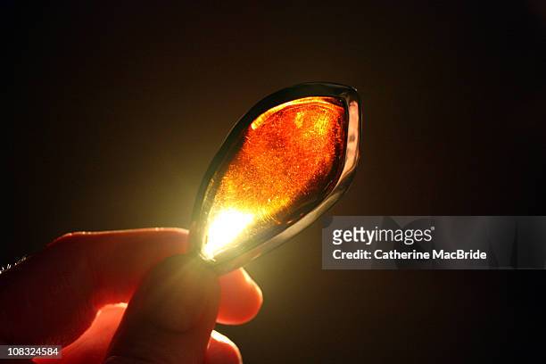 glowing amber - catherine macbride stock pictures, royalty-free photos & images