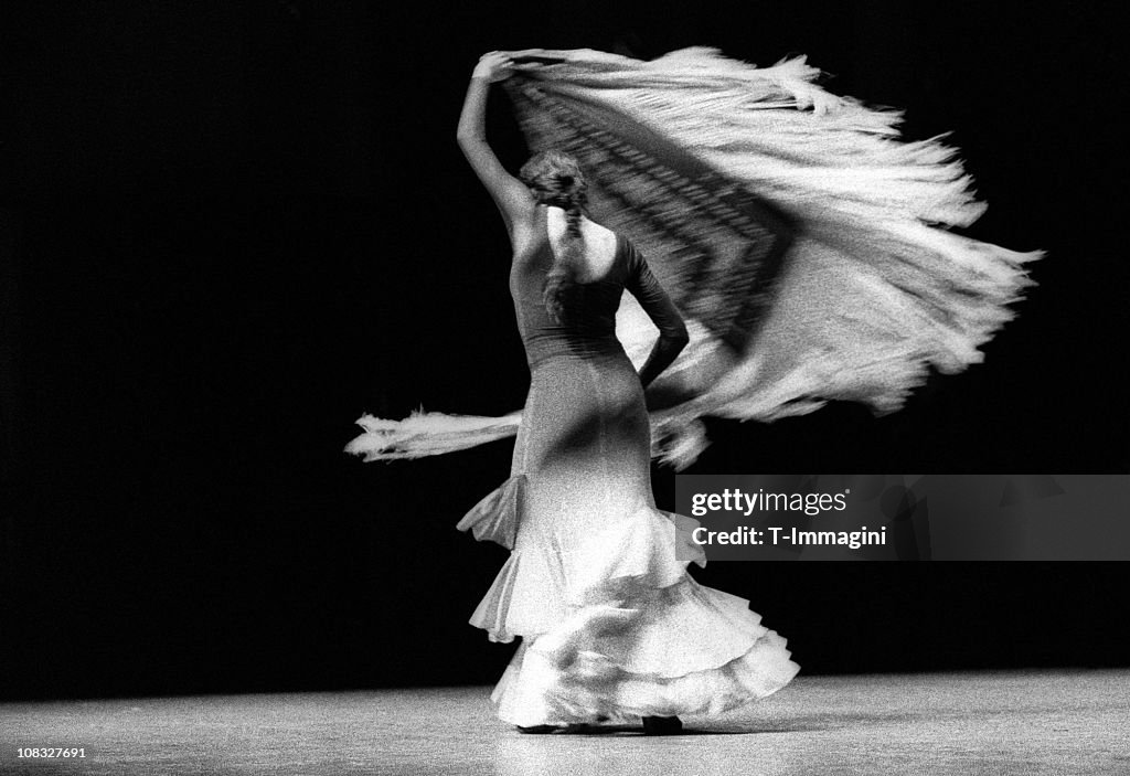 A beautiful flamenco dancer with her shawl